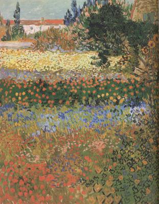 Vincent Van Gogh Flowering Garden (nn04)